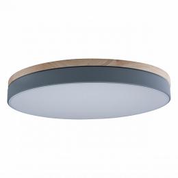 Изображение продукта Потолочный светодиодный светильник Loft IT Axel 10001/36 grey 